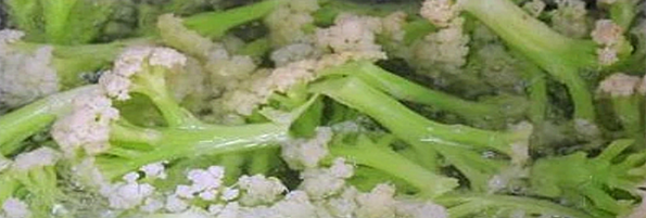 焯煮、油炸設備